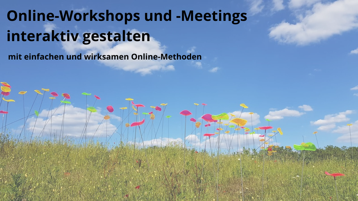Interaktive Online-Methoden